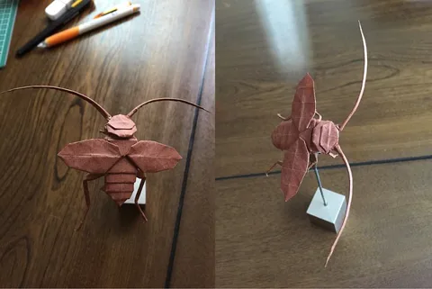 Cockroach