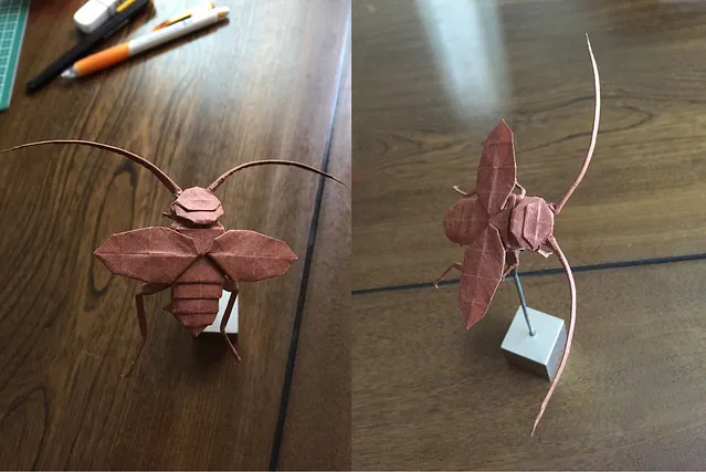 Cockroach