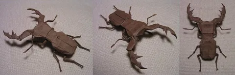 Cyclommatus alagari