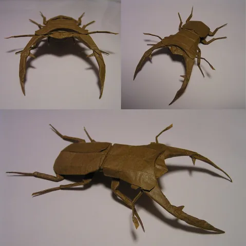 Cyclommatus elaphus