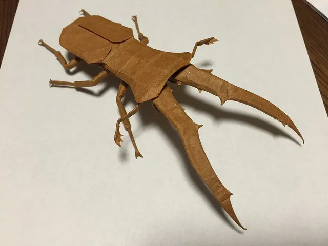 Cyclommatus metallifer 4