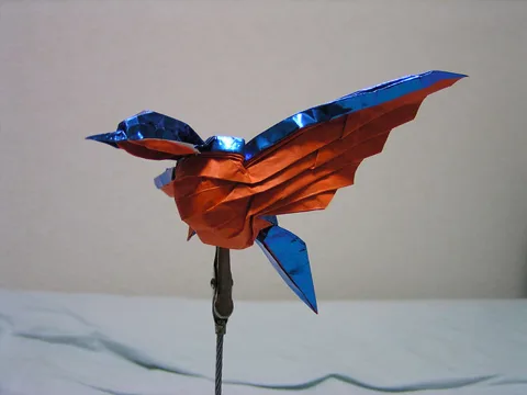 Kingfisher