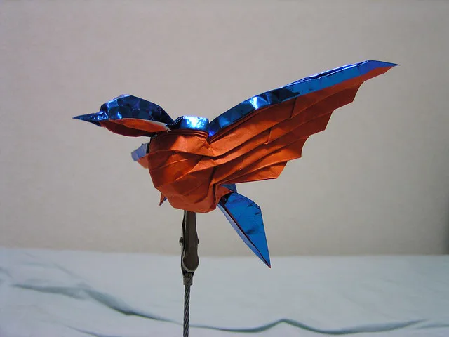 Kingfisher