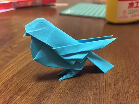 Little Bird