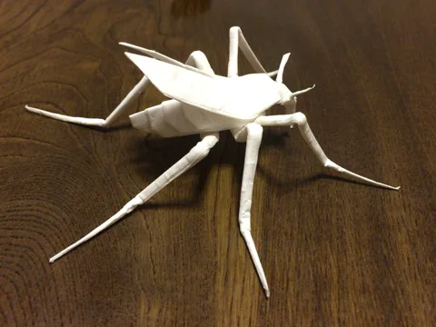 Mosquito 4