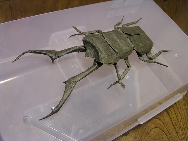 Prosopocoilus Buddha