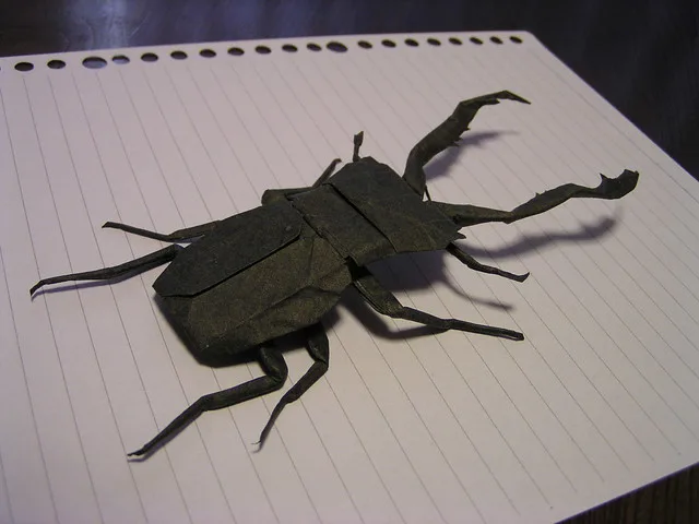 Prosopocoilus Giraffa