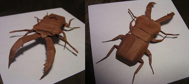 Sawtooth Stag Beetle