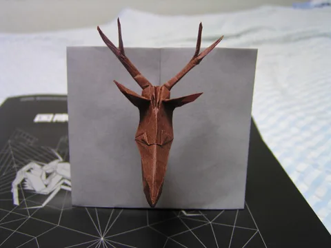 Stuffed deer head