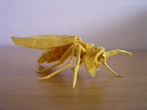 Wasp