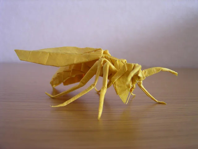Wasp
