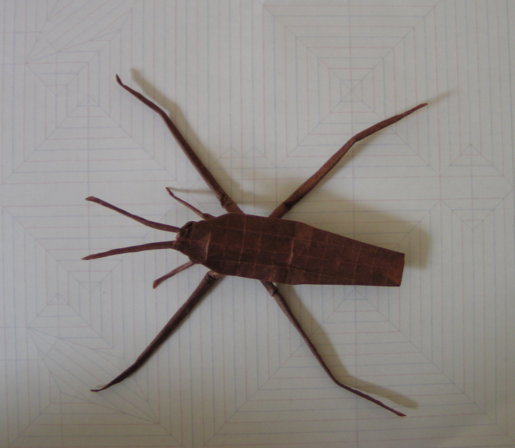 Water Strider