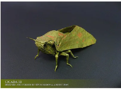 Cicada