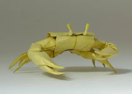 Crab