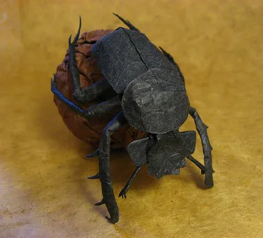 Dung beetle