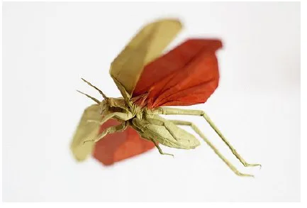 Flying locust