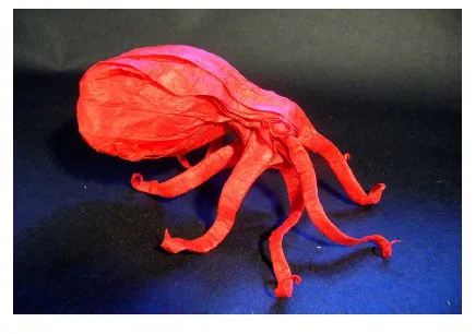 Octopus