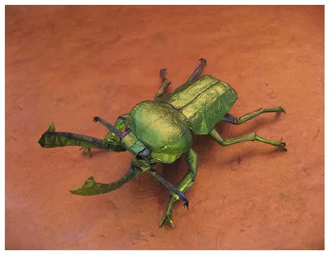 Rainbow Stag Beetle (PD) Phalacrognathus mulleri II