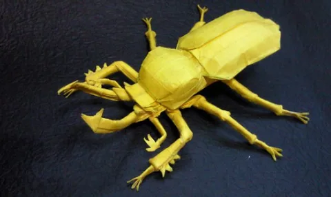Rainbow Stag Beetle (PD) Phalacrognathus mulleri II