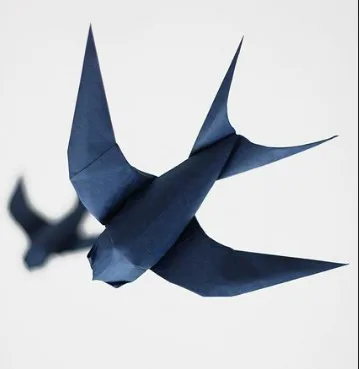 Swallow