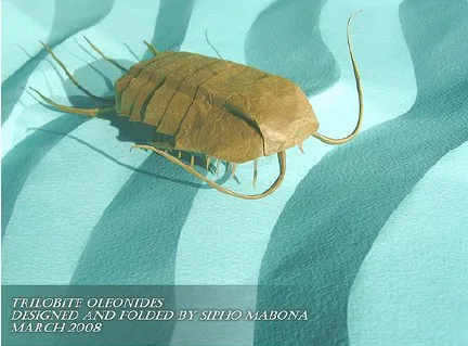 Trilobite