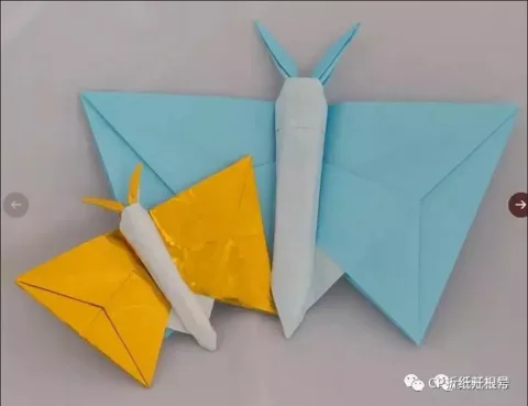 Butterfly (PD)