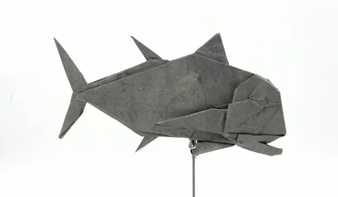 Giant Trevally