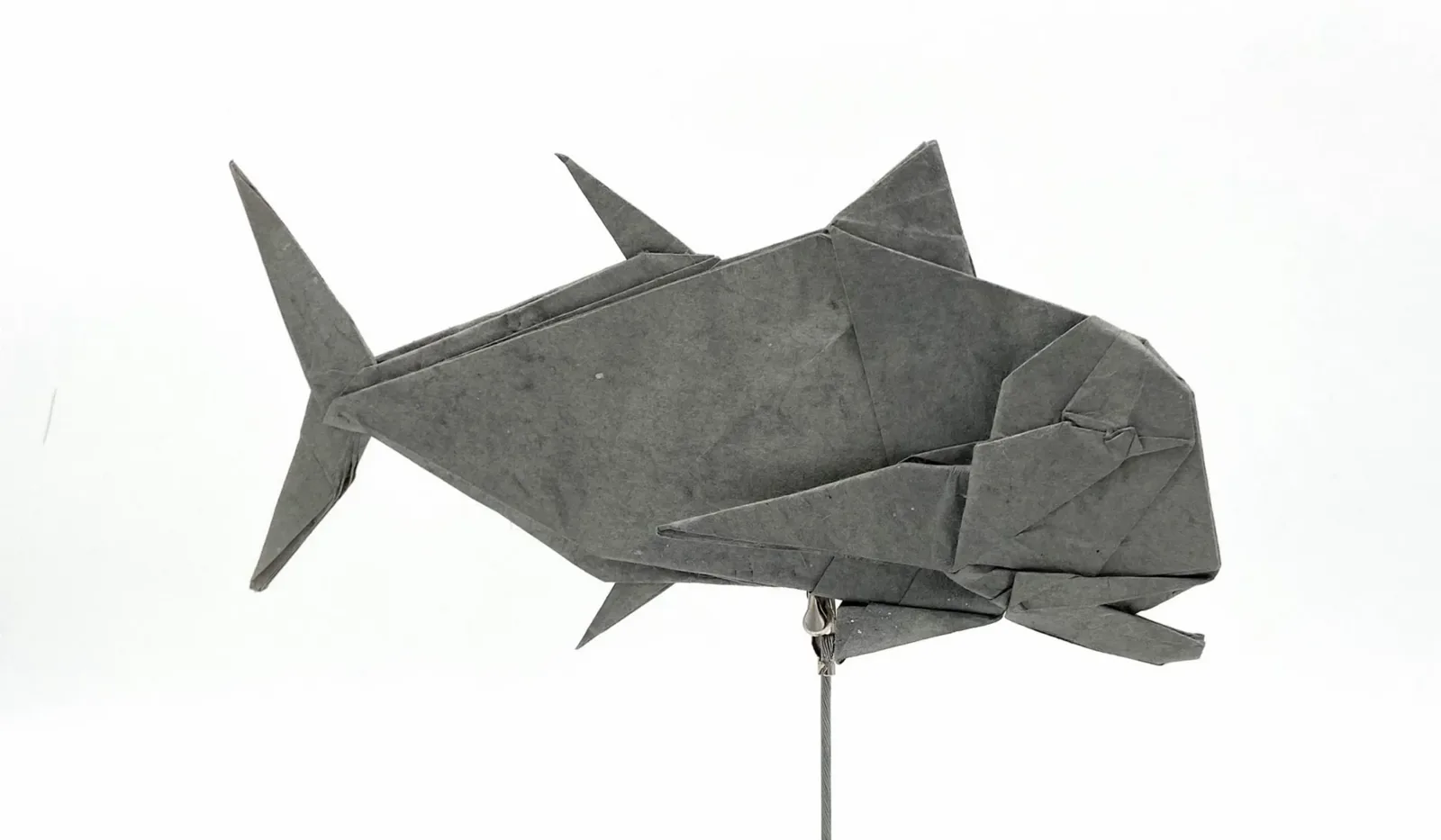 Giant Trevally
