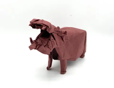 Hippo