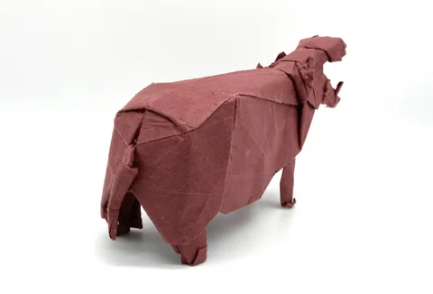 Hippo