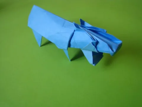 Hippo
