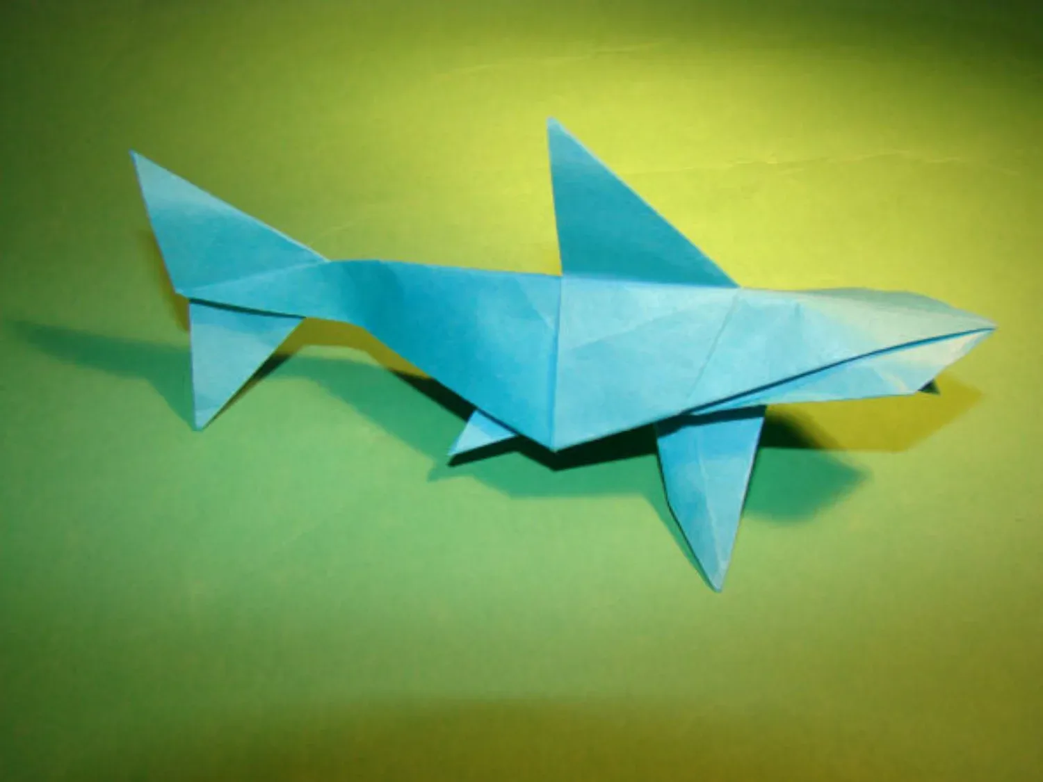 Shark
