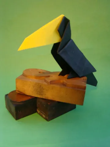 Toucan