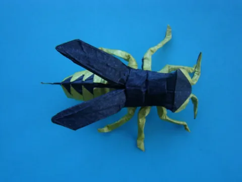 Wasp