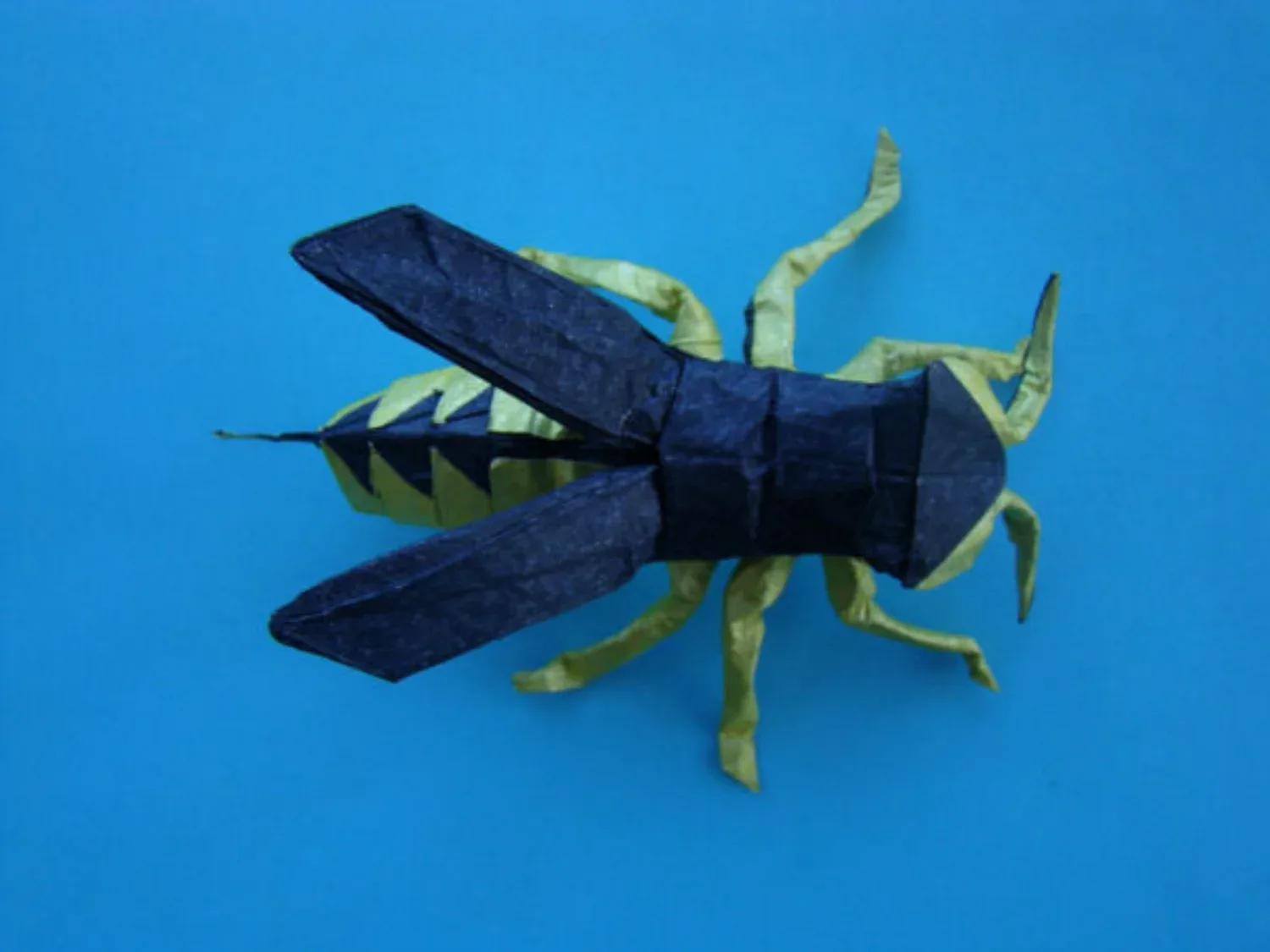 Wasp