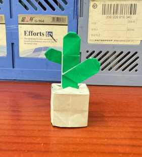 Cactus
