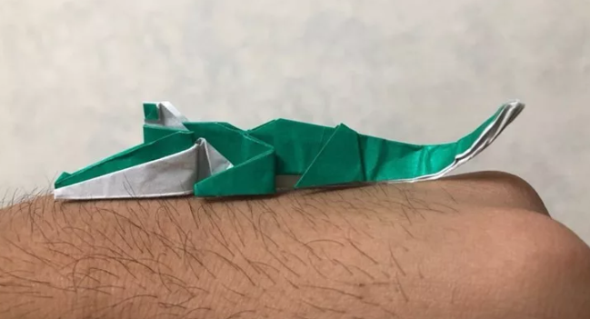 Crocodile (PD)