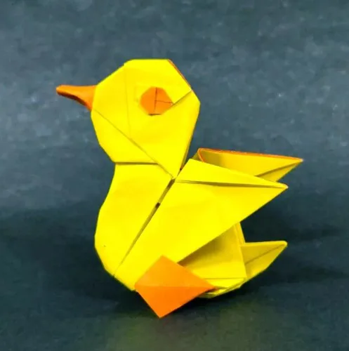 Duck (PD)