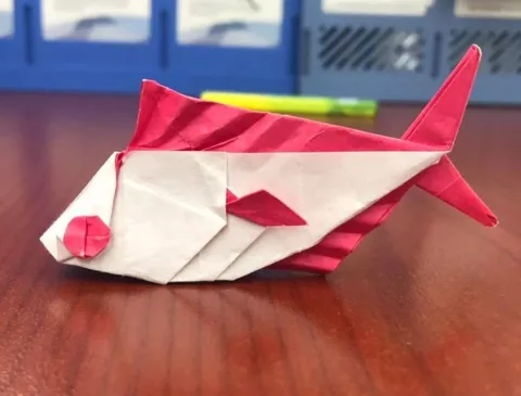 Fish 1