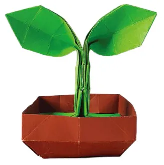 Sprout