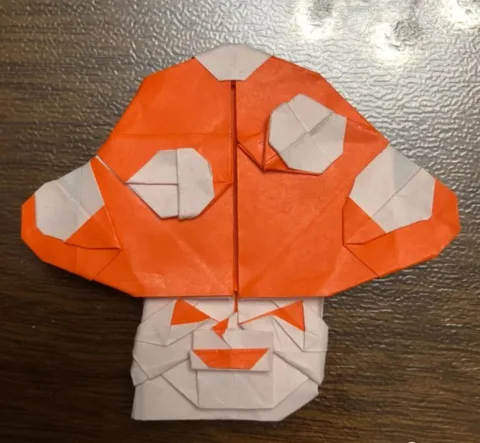 Mushroom with face