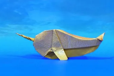 Narwhal