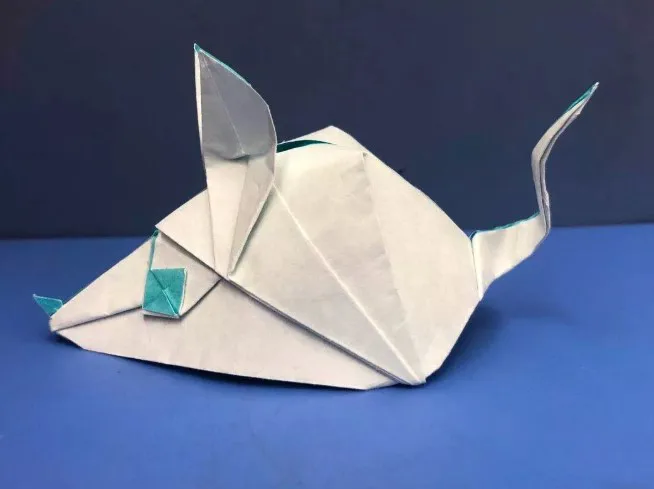 Rat