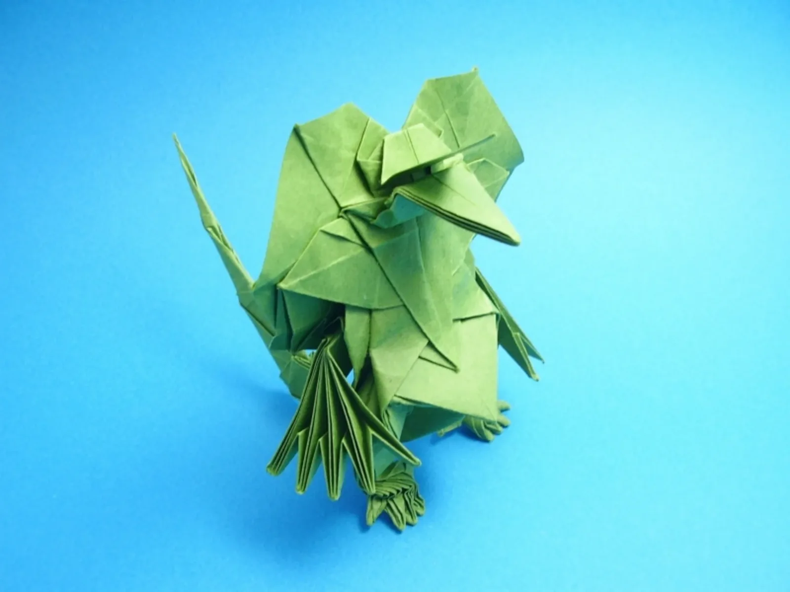Frilled-Neck Lizard