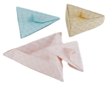 Triangular tray with lid