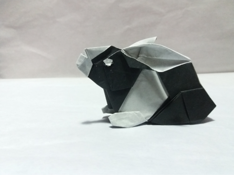 Sitting Dutch Rabbit