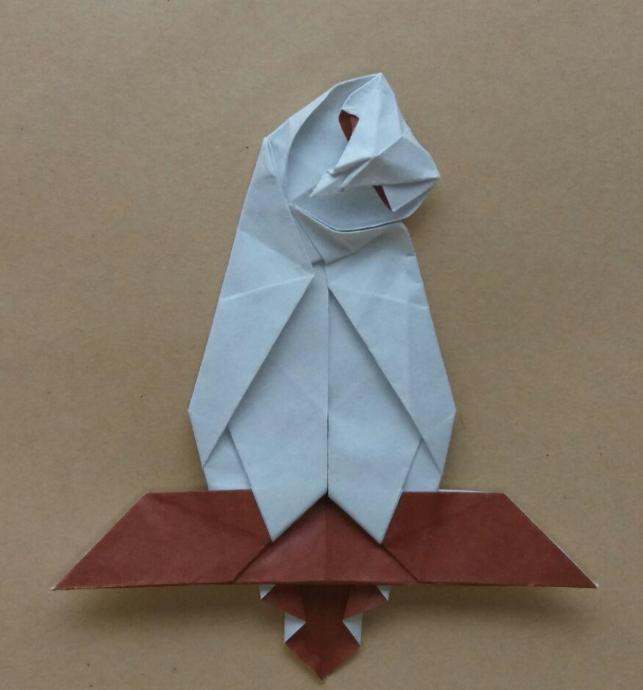 Owl