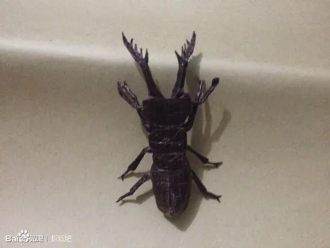 Stag beetle (PD) Suzh