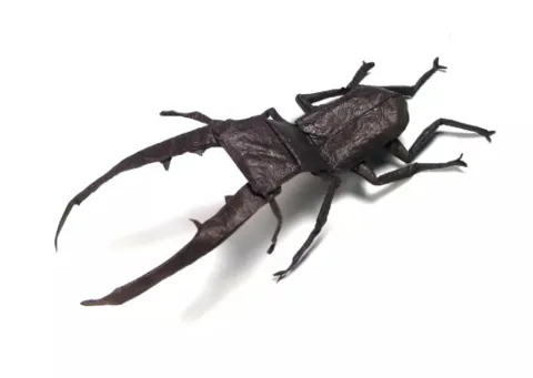 Stag Beetle (PD) Cyclommatus metallifer