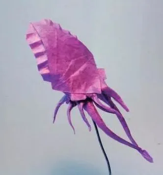 Squid (PD)